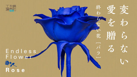 Makuake 近日公開