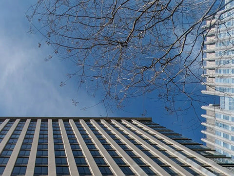 2026年スタートしました！